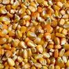  Фуражное зерно в Смоленской области в Смоленске
